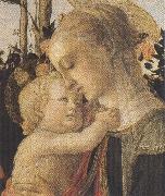Sandro Botticelli Madonna of the Rose Garden or Madonna and Child with St John the Baptist Spain oil painting artist